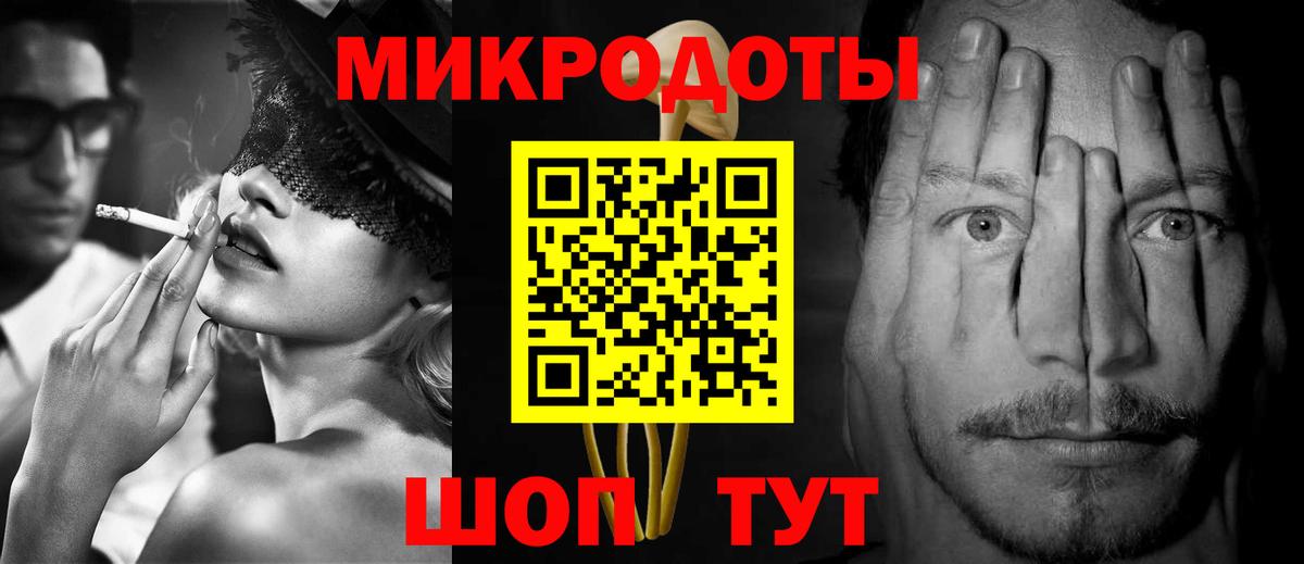 Галлюциногенные грибы Psilocybine cubensis Гусиноозёрск